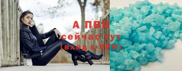 прущие грибы Богородицк
