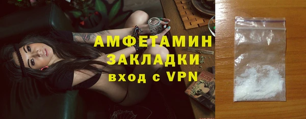 прущие грибы Богородицк