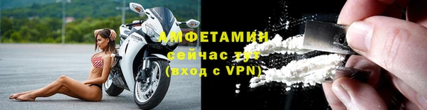 прущие грибы Богородицк