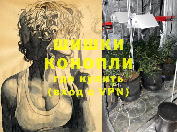 соль курить ск Богданович
