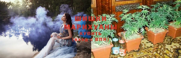 соль курить ск Богданович
