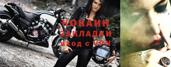 прущие грибы Богородицк