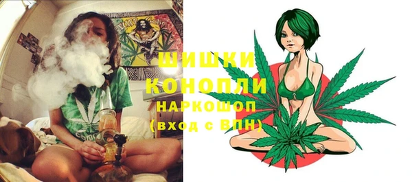 прущие грибы Богородицк
