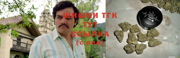 прущие грибы Богородицк