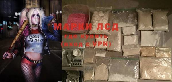 прущие грибы Богородицк