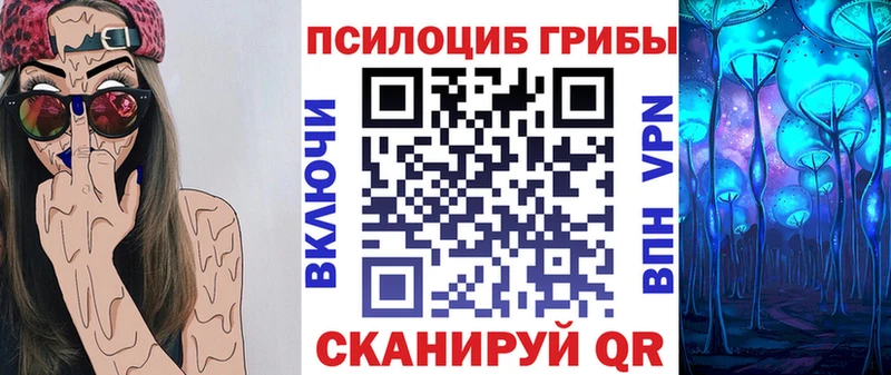 OMG вход  Шумиха  Псилоцибиновые грибы мицелий 